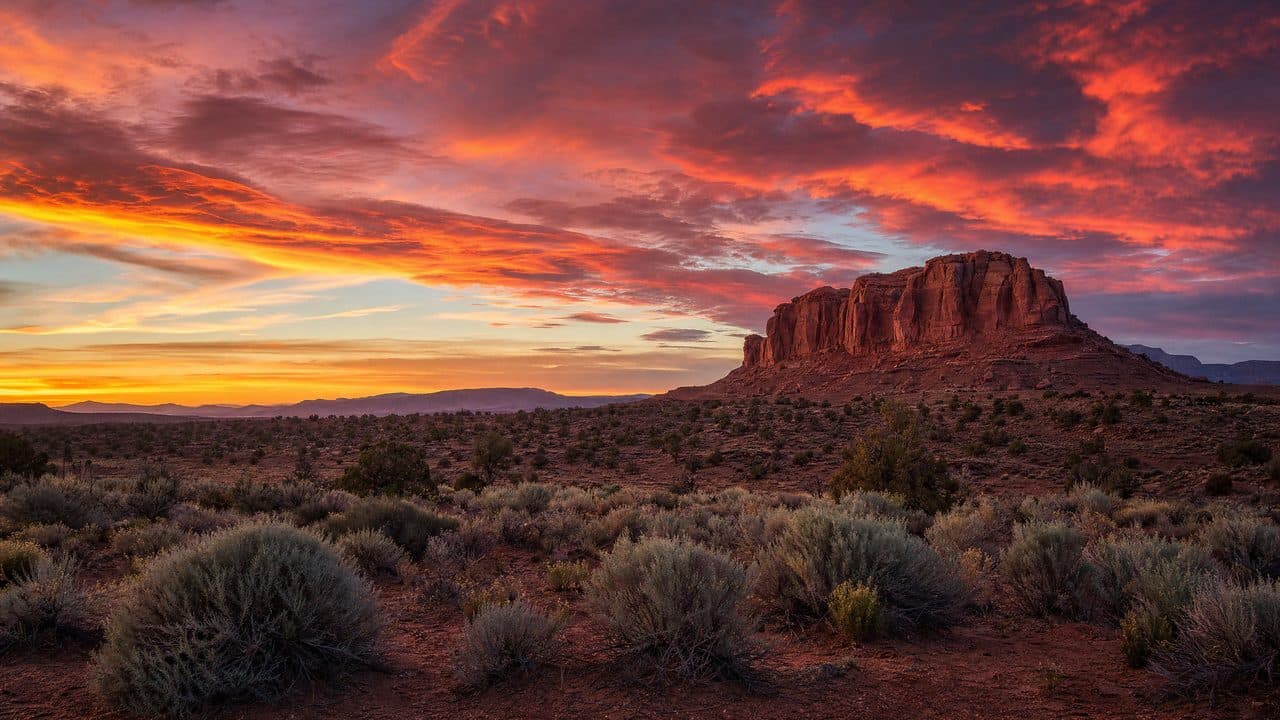 New Mexico LLC: The Cheapest and Most Private US LLC