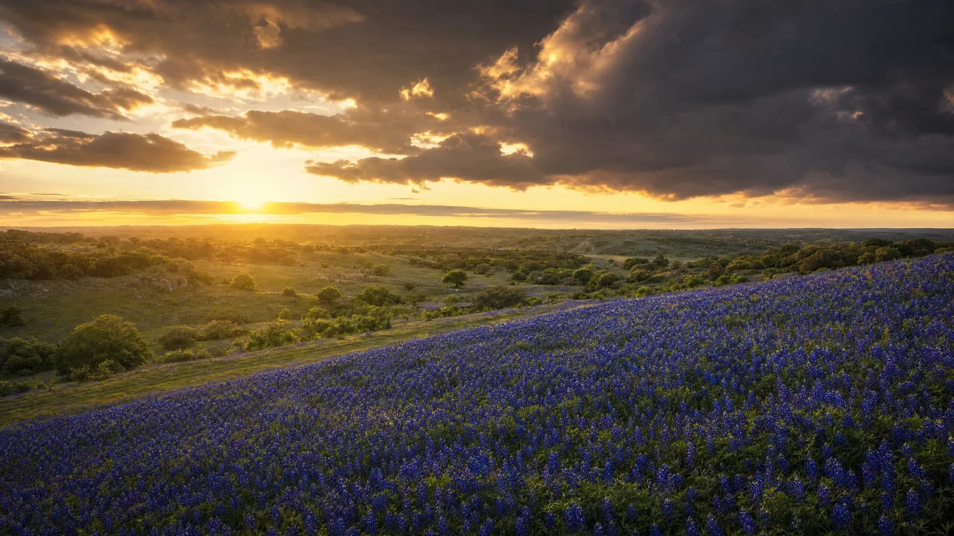 Texas ZeroTax LLC